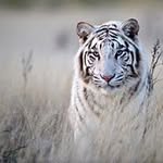 Charles Carruthers - @charlescarruthers1 - Instagram