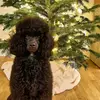 Chard Charles - @chard.charles3 - TikTok