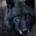 Charles Chard - Facebook