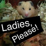 Chestnut Charles - @chestnutcharles - Instagram