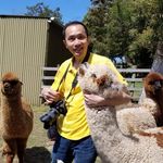 Charles Cheung - @alpacacharles - Instagram
