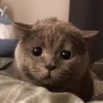 Charles Cheung - @charles.cheung_ - Instagram