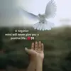 Charles Cheung - @charles.cheung4 - TikTok