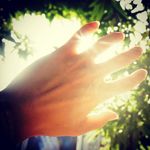 @charles_cheung - Instagram
