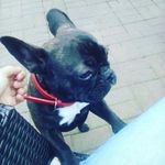 Collette Charles - @charles.collette - Instagram