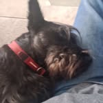 Charles Colley - @charlescolley.cc92 - Instagram