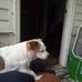 Charlie Colp - Facebook