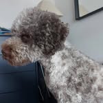Charles Comer - @ilovebolteh - Instagram