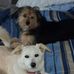 Charles Conway - Facebook