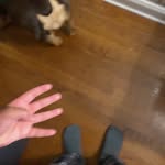 Charles Cooley - @charlescooley6 - Instagram