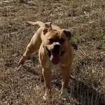 Charles Cooley - @charlescooley540 - Instagram
