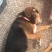 Charles Cordell - Facebook