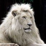 Charles Corey - @dosomethingepi1 - Instagram
