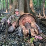 Charles Corey - @charles_corey - Instagram