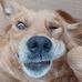 Charles Cormier - Facebook