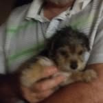 Charles Cornwell - @littlebuddy1106 - Instagram