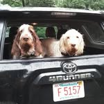 Charles Costello - @russert1705 - Instagram