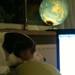 Charles Cramer - @charles.ausinzmuhlen - Instagram