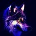 Charley Cullum - Facebook