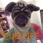 Charles Daly - @tripdaly - Instagram