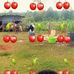 Charles Dear - Facebook
