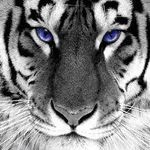 Charles Denney - @charles.denney.54 - Instagram