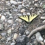 Charles Denney - @infinitementor - Instagram