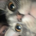 Charlie - @charlesdickerson3rd - Instagram