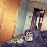 Charles Donaghy - @charles.donaghy3 - Instagram
