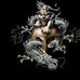 Charles Donnelly - Facebook