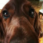 Charlie Doran - @doran_charlie - Instagram