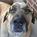 Charles Dougherty - @doughertycharles - Instagram