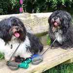 Charles Doyle - @doyle.charles - Instagram