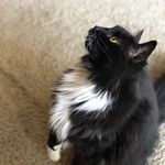 Charles Dunlap - @chpdunlap - Instagram