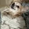 Charles Eastburn - @charles.eastburn - TikTok