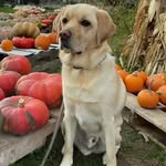 Charles J Elder - @samtypete - Instagram