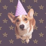 Charles Ellsworth Wigglebottom - @charlie.wigglebottom - Instagram