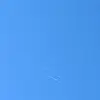 Shelby - @charles.elmore2 - TikTok