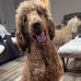 Charles Emerson - Facebook