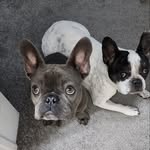 Charles Emerson - @charlesemersonwinchesteriii - Instagram