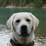 Charles Emerson Winchester - @c_e_winchester_1 - Instagram