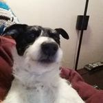 Charles Ewing - @cewing3737 - Instagram