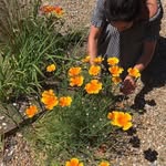 Charlie Falconer - @charliefalconer - Instagram