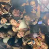 Charlie Falconer - @_charliefalconer - TikTok
