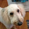 charliefarquharson - @charliefarquharson - TikTok