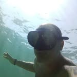 Charles Faust - @chalesfaust - Instagram