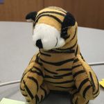 Charles “Julio” Fenwick Tigger - @julio_the_tiger - Instagram