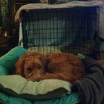 Charles - @charles_forsyth - Instagram