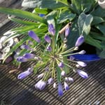 Charles Gale-Hasleham - @charlesgalehasleham - Instagram