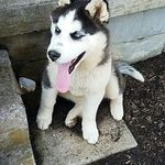 Charles Gatchell - @charlesgatchell - Instagram